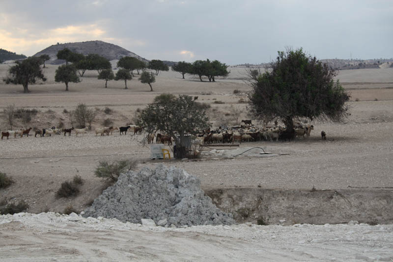 20081011_Larnaca district_0510