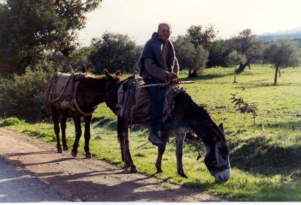 Cyprus-122_edited