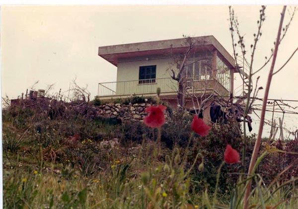 Yiannis P' hoouse in teh spring_edited