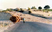 Untitled-92_edited