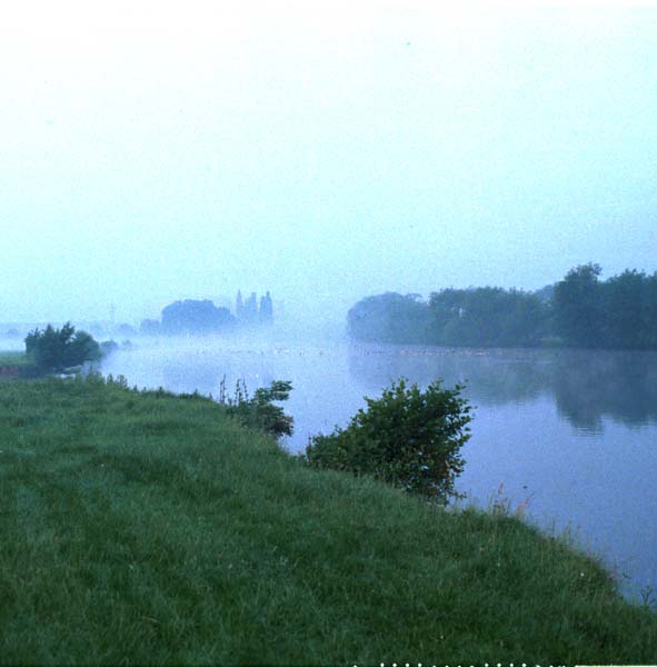 1982 Sunrise Earley