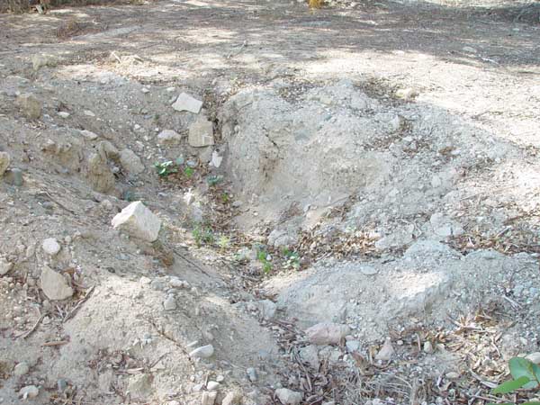 Another delicately excavated grave