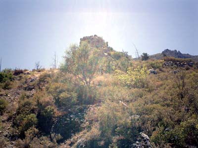 CIMG0027_edited