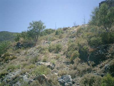 CIMG0028
