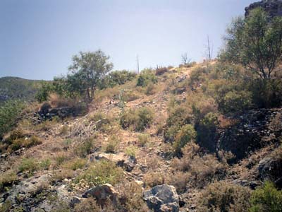 CIMG0028_edited
