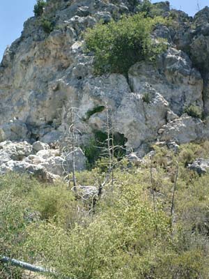 CIMG0029