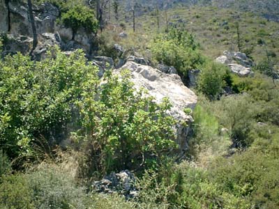 CIMG0030