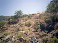 CIMG0028_edited
