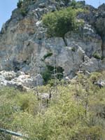 CIMG0029