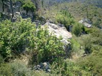 CIMG0030