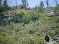 CIMG0031