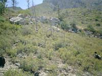 CIMG0032
