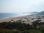 Turtle beach at Ap Andreas3