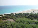 Turtle beach at Ap Andreas4