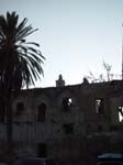Behind the Armenian Church