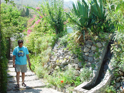Walking in Karmi