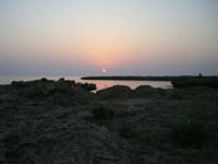 CIMG0521