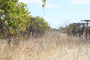 IMG_0198_1