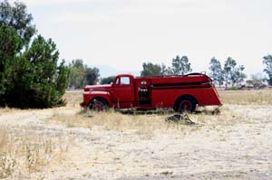 IMG_0205_1
