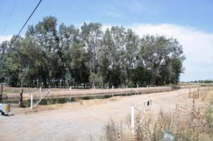 IMG_0206_1