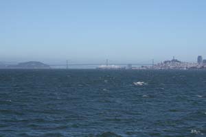 IMG_0558