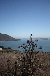 IMG_0670