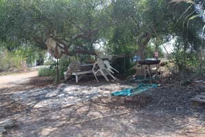20081010_Agia Napa_0441