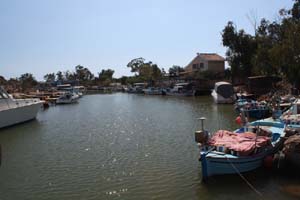 20081010_Agia Napa_0445