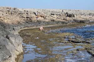 20081010_Agia Napa_0488