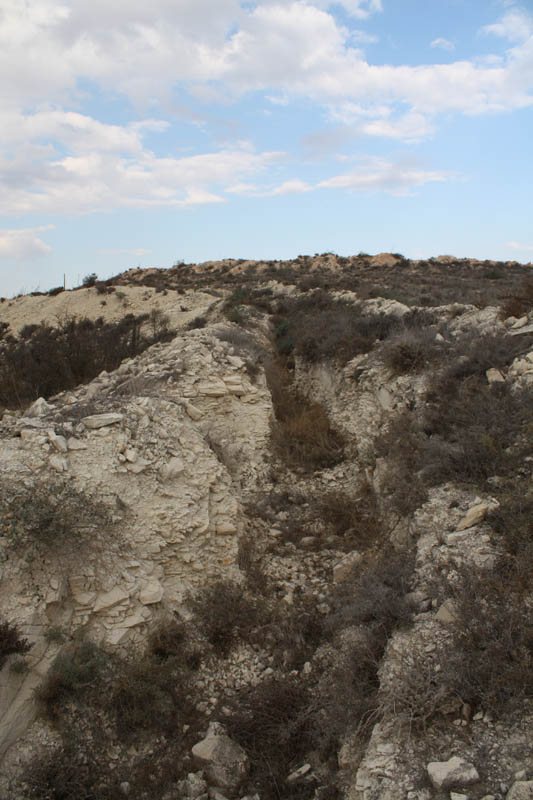 20081011_Larnaca district_0513