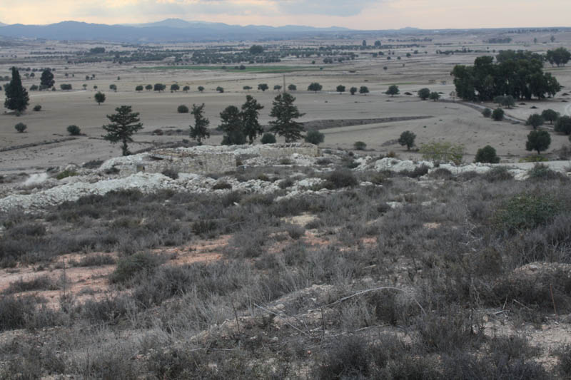 20081011_Larnaca district_0519