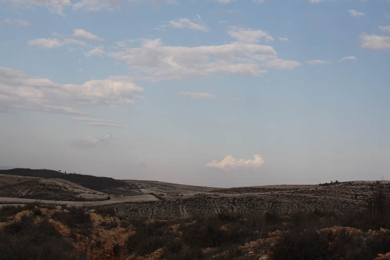 20081011_Larnaca district_0527