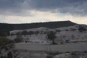 20081011_Larnaca district_0507