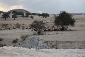 20081011_Larnaca district_0510