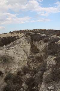 20081011_Larnaca district_0513