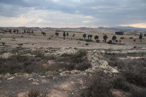20081011_Larnaca district_0516