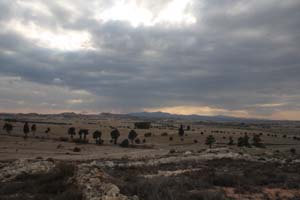 20081011_Larnaca district_0517