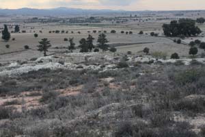 20081011_Larnaca district_0519