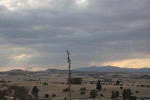 20081011_Larnaca district_0521