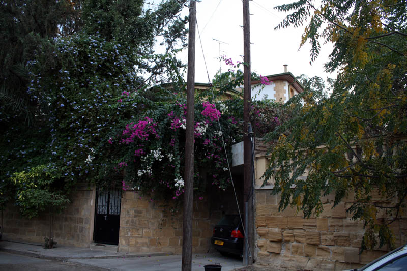20081018_Armenian Cemetery_1430
