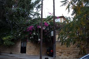 20081018_Armenian Cemetery_1430