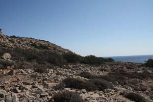 20081019_Cape Pyla_1434