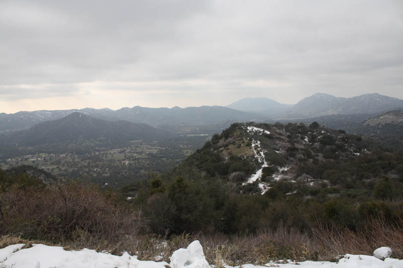 20081218_2166