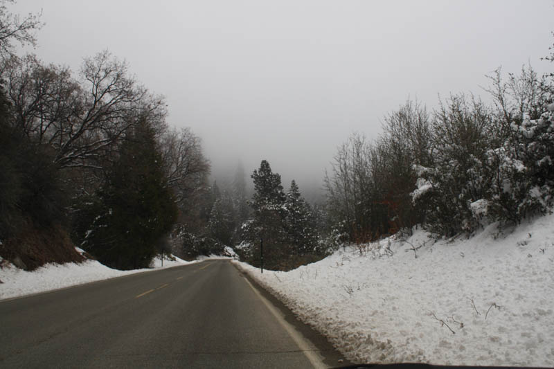 20081218_2169