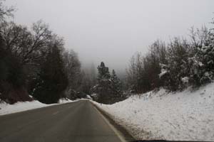20081218_2169