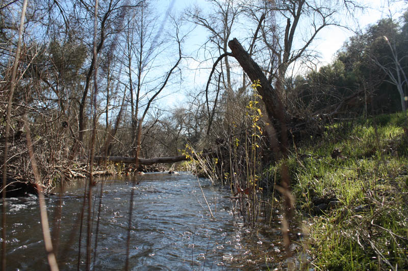 20090224_Around Fresno_2604