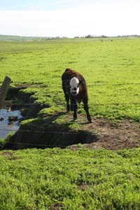 20090224_Around Fresno_2601
