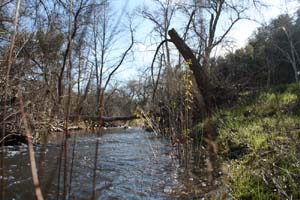 20090224_Around Fresno_2604