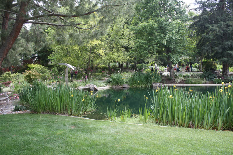 20090502_Fresno Gardens_2851