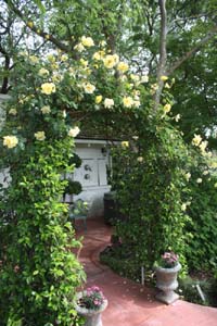 20090502_Fresno Gardens_2843